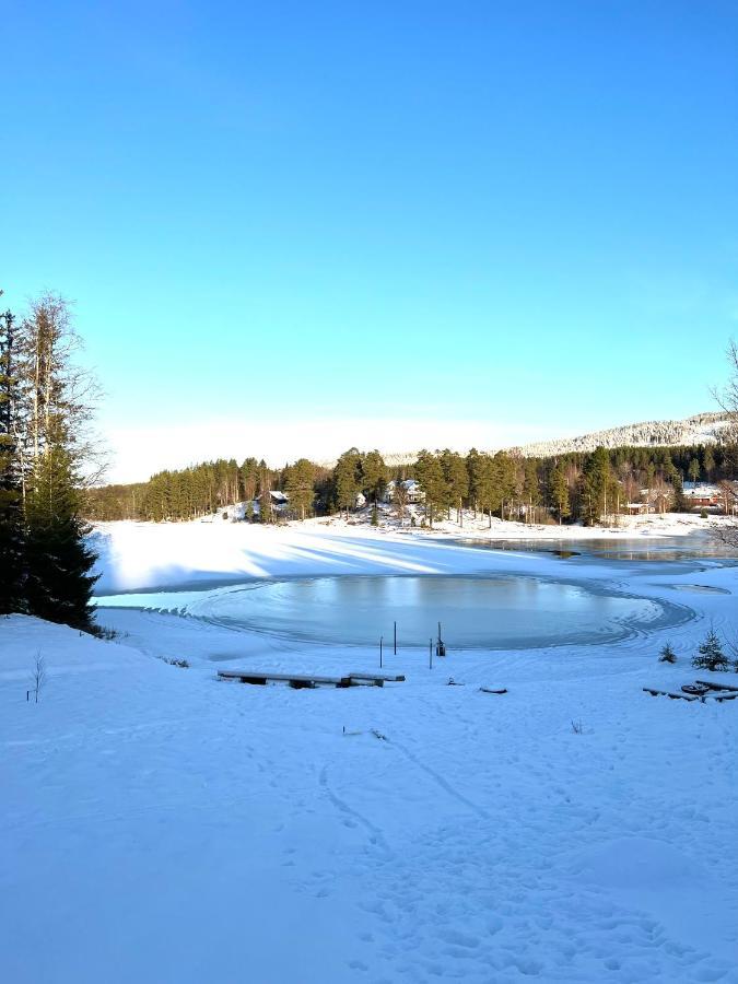 Villa Granhede -Sjoelaege Med Badtunna, Eldstad Med Mera Torsby Exterior foto