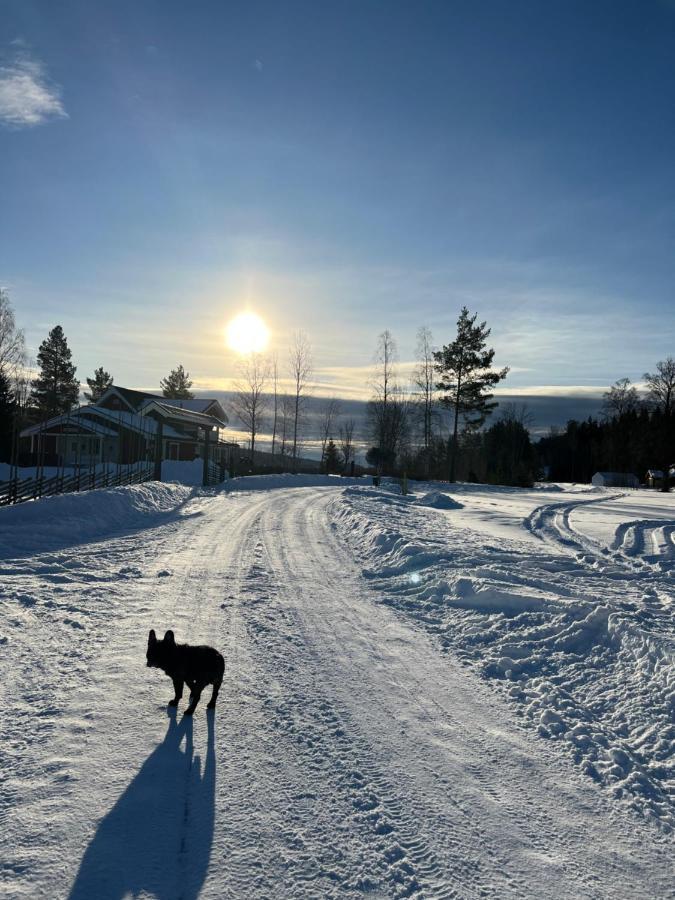 Villa Granhede -Sjoelaege Med Badtunna, Eldstad Med Mera Torsby Exterior foto